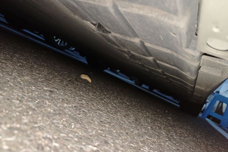 比亚迪 海豹06GT 2025款 505海浪Plus版局部细节9002