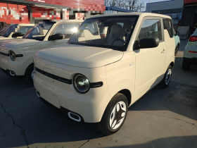 吉利银河 熊猫 2025款 210km 元气熊