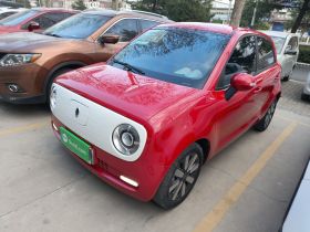 欧拉黑猫 2019款 351km 女神版