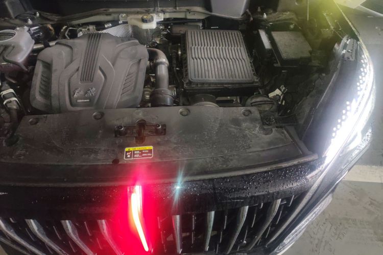 红旗HS3 PHEV 2024款 PHEV 115km 劲为版局部细节9007