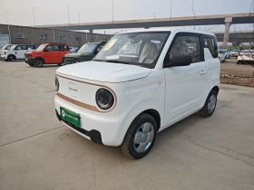 吉利银河 2024款 熊猫mini 200km 耐力熊