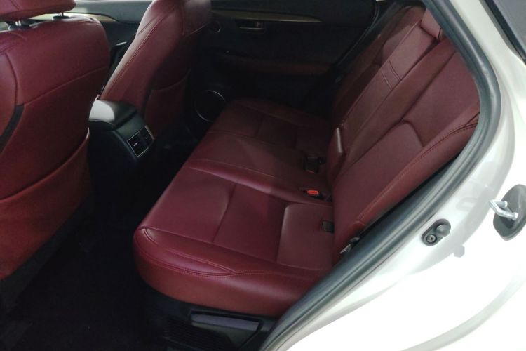 雷克萨斯NX 2020款 200 前驱 锋行版 国VI中控内饰21