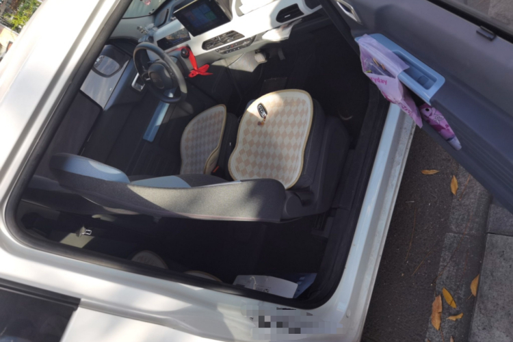 吉利银河 2023款 熊猫mini 120km 萌萌熊局部细节9005