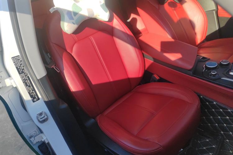 阿尔法·罗密欧 Stelvio斯坦维 2017款 2.0T 200HP 豪华版局部细节41