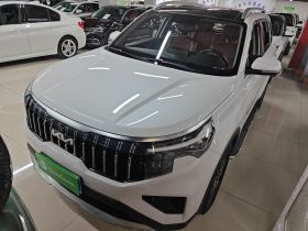 起亚 智跑 2021款 Ace 2.0L 精彩版