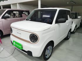 吉利银河 2024款 熊猫mini 200km 耐力熊