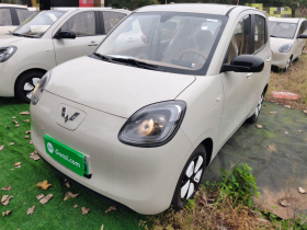 五菱汽车 宏光MINIEV 2025款 四门版 进阶款