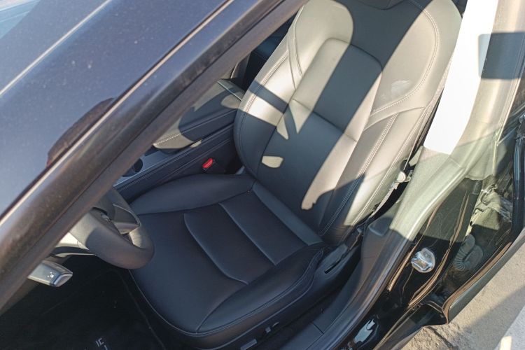 特斯拉 Model 3 2021款 标准续航后驱升级版 3D6局部细节19