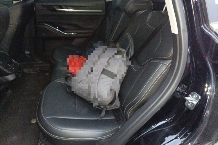 哈弗H6 2024款 1.5T 两驱经典版中控内饰21