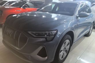 奥迪e-tron 2021款 50 quattro 豪华型