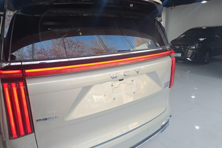 魏牌 高山 2023款 四驱旗舰版车身外观6