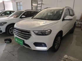 哈弗H6 2021款 运动版 1.5T 自动精英智联型 六边形格栅