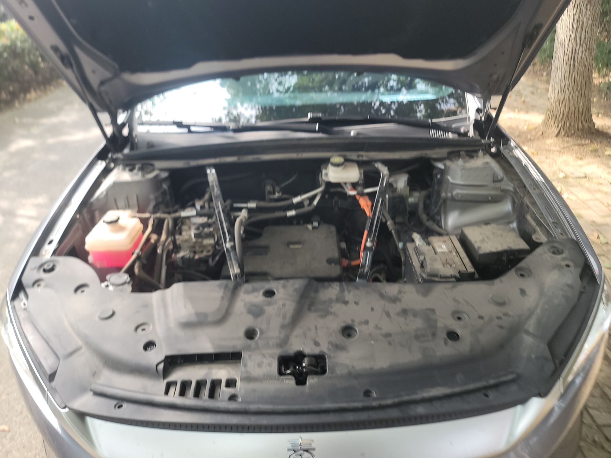 比亚迪 秦PLUS 2024款 荣耀版 EV 420KM领先型