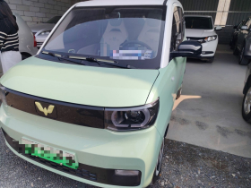 五菱汽车 宏光MINIEV 2021款 马卡龙臻享款 磷酸铁锂