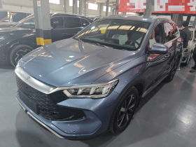 比亚迪 宋Pro新能源 2023款 冠军版 DM-i 110KM超越型