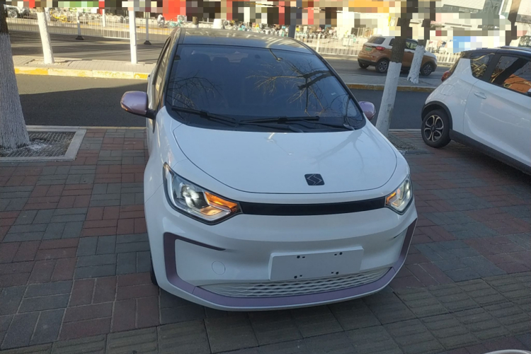 思皓 2022款 花仙子款 四叶草车身外观2