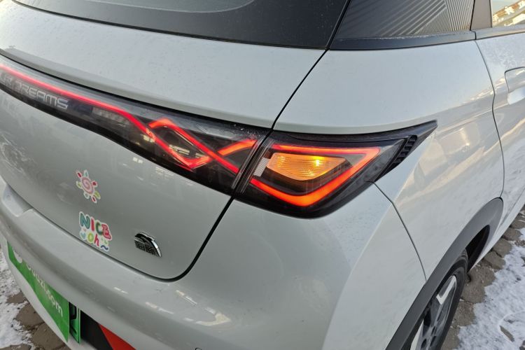 比亚迪 海豚 2021款 405km 时尚版车身外观9