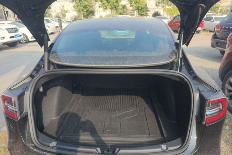 特斯拉 Model 3 2021款 标准续航后驱升级版 3D6局部细节23