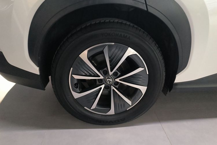 雷克萨斯RZ 2023款 450e 四驱纵享版车身外观6008