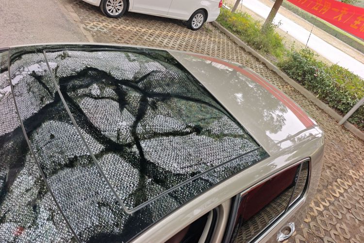 大众 高尔夫 2017款 230TSI 手动舒适百万辆纪念版局部细节57