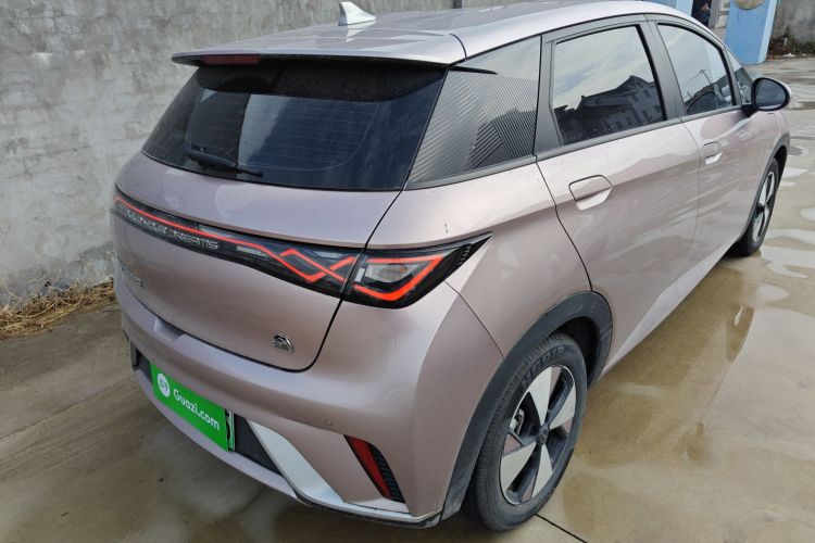 比亚迪 海豚 2023款 420km 自由版车身外观7