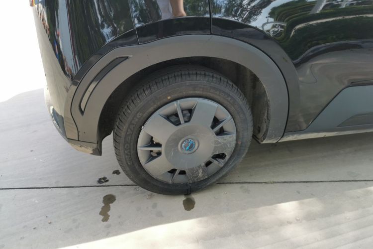 比亚迪 海鸥 2025款 智驾版 305km 活力版车身外观6008