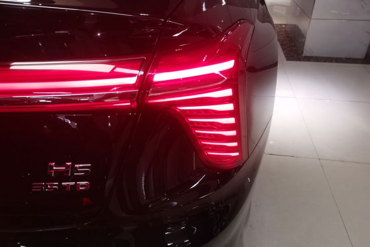 红旗H5 2024款 1.5T DCT智联旗韵版车身外观9