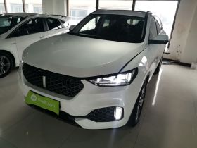 魏牌 VV6 2020款 2.0T 两驱智护+