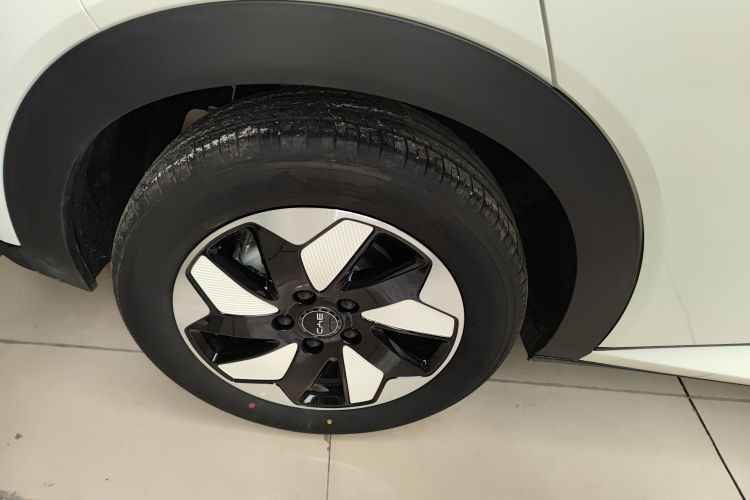 比亚迪 海豚 2025款 420km 自由版车身外观6008