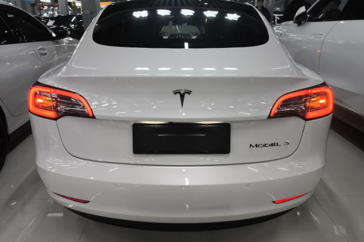 特斯拉 Model 3 2020款 改款 标准续航后驱升级版车身外观6004