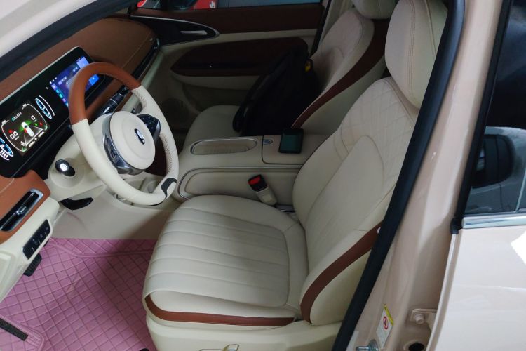 欧拉好猫 2023款 401km标准续航 豪华型 磷酸铁锂中控内饰19