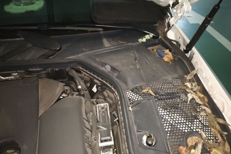 奔驰C级 2019款 改款 C 260 L 运动版局部细节9007