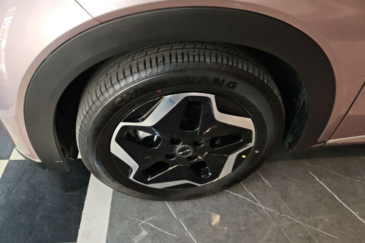 比亚迪 海豚 2021款 405km 时尚版车身外观6007