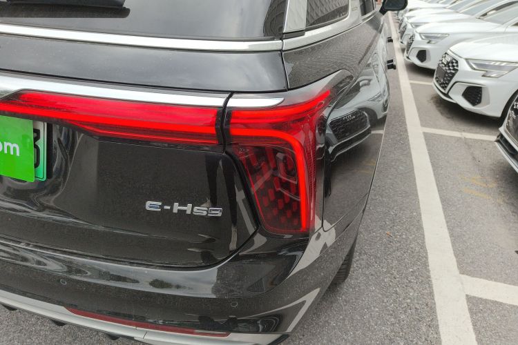 红旗E-HS9 2021款 460km 旗享版 六座车身外观6006