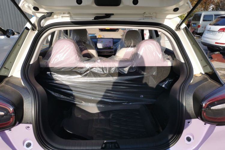 东风纳米 纳米01 2024款 焕新版 330 Plus智+局部细节23