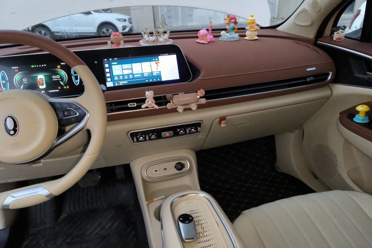 欧拉好猫 2023款 401km标准续航 豪华型 磷酸铁锂局部细节16