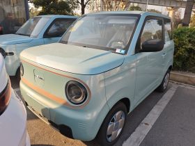 吉利银河 2024款 熊猫mini 200km 耐力熊