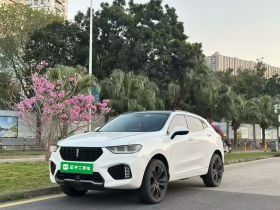 魏牌 VV5 2017款 2.0T 旗舰型