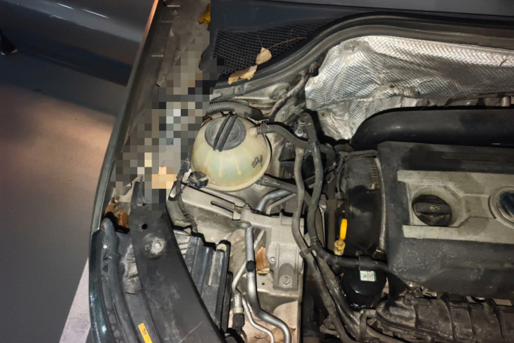 大众 途观 2015款 1.8TSI 自动两驱舒适版局部细节9006