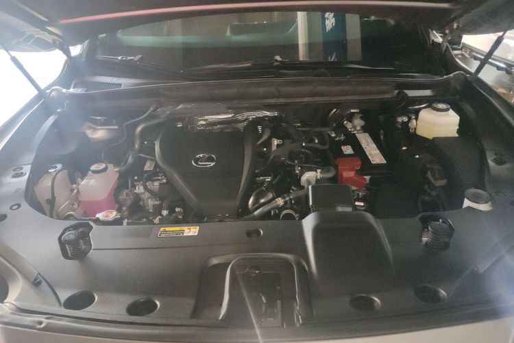 雷克萨斯RX 2025款 300 四驱骏享版局部细节24