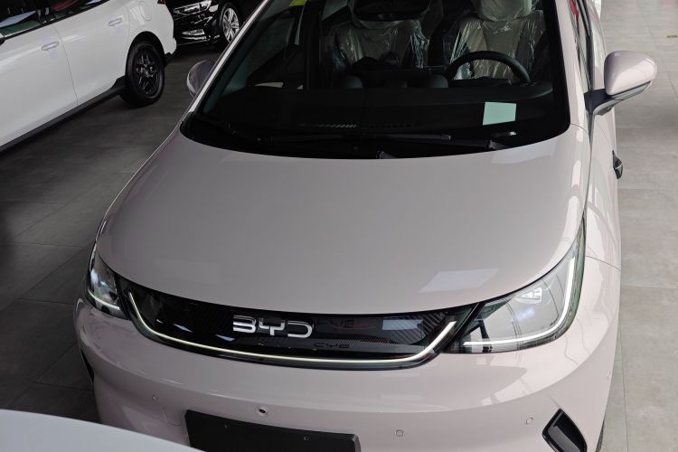 比亚迪 海豚 2025款 智驾版 420km 自由版车身外观2