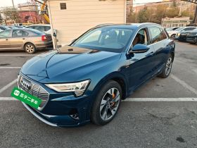 奥迪e-tron(进口) 2019款 55 quattro 技术型