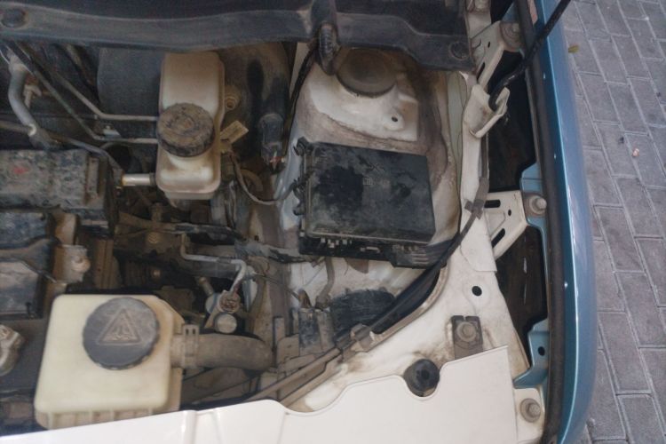 欧拉黑猫 2019款 351km 女神版局部细节9007