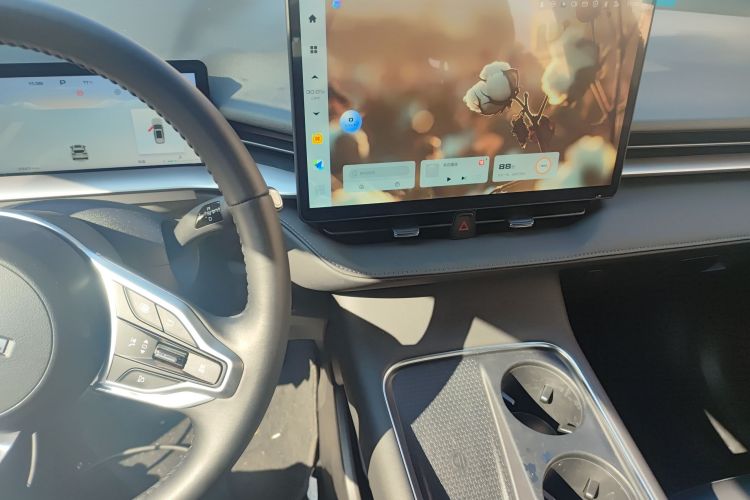 哈弗H6 2024款 2.0T 四驱Max局部细节16