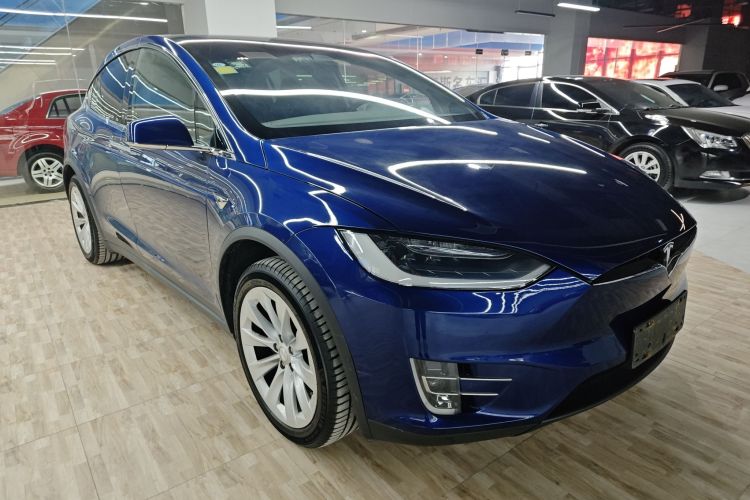 特斯拉 2017款 Model X 100D 长续航版车身外观6002
