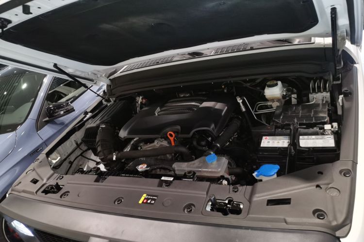 坦克300 2023款 2.0T 铁骑02机舱底盘24