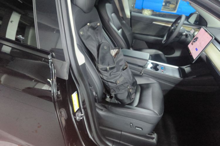 特斯拉 Model Y 2021款 Performance高性能全轮驱动版局部细节41