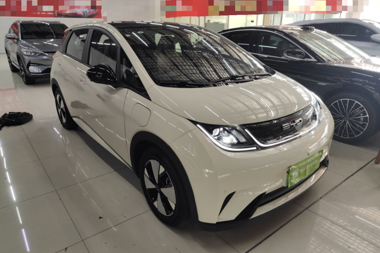 比亚迪 海豚 2023款 420km 时尚版车身外观6002