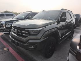 坦克400新能源 2024款 Hi4-T 城市版