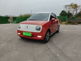 欧拉黑猫 2019款 351km 女神版